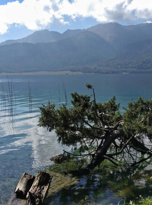 Rara