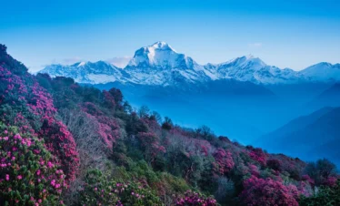 poon hill trek