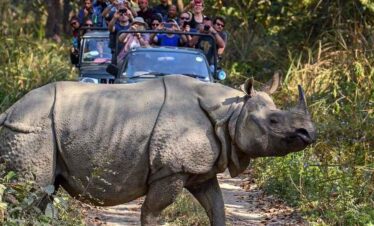kathmandu-nagarkot-chitwan-tour